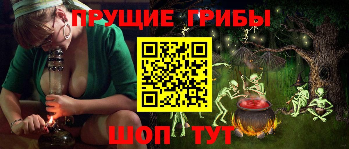 Касимов  Галлюциногенные грибы Psilocybe  Вход с VPN 